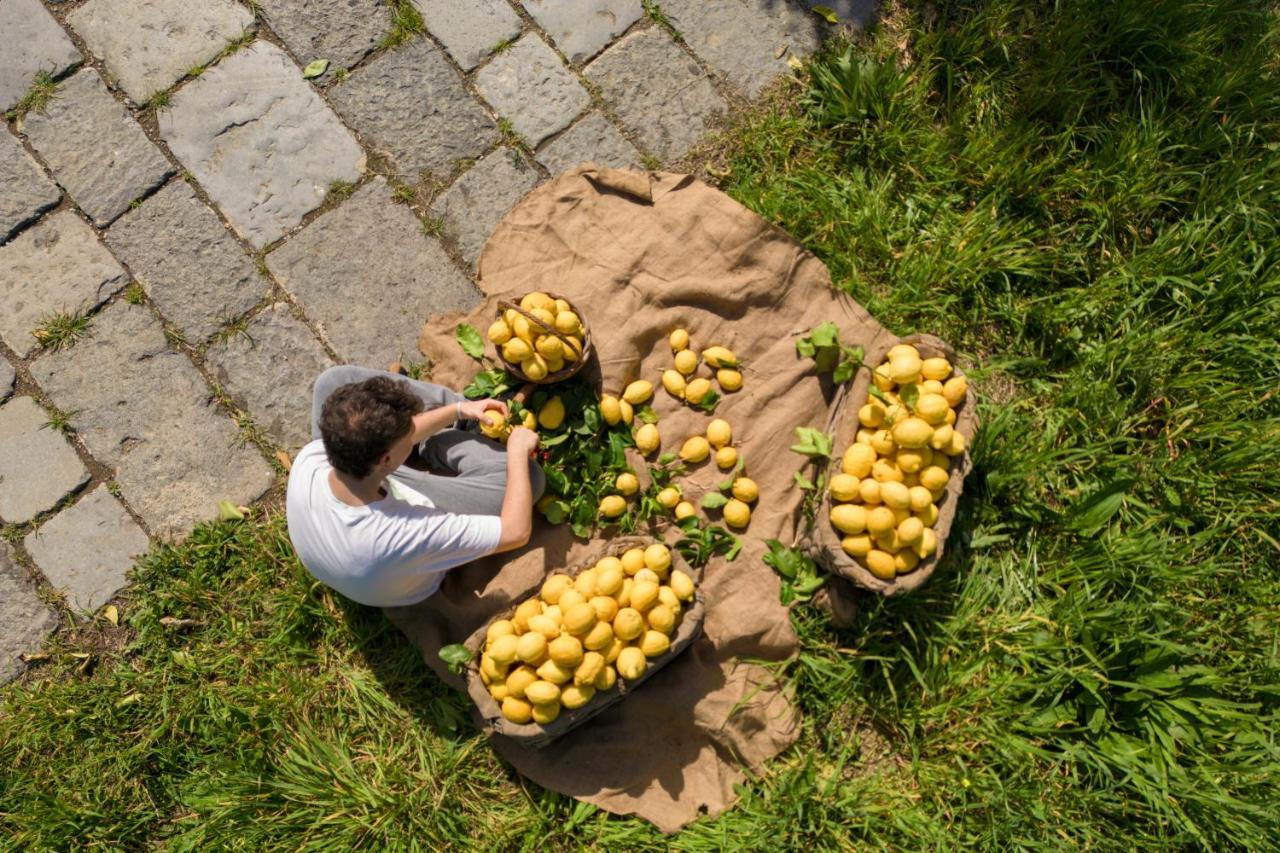 Tenuta Di Leva Piano di Sorrento Exteriér fotografie