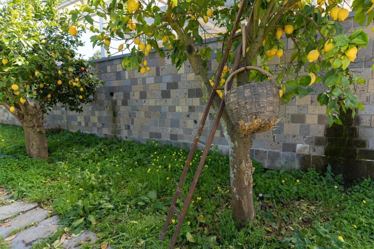 Tenuta Di Leva Piano di Sorrento Exteriér fotografie