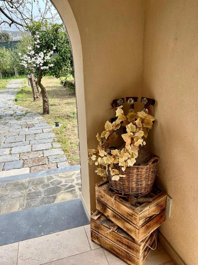 Tenuta Di Leva Piano di Sorrento Exteriér fotografie